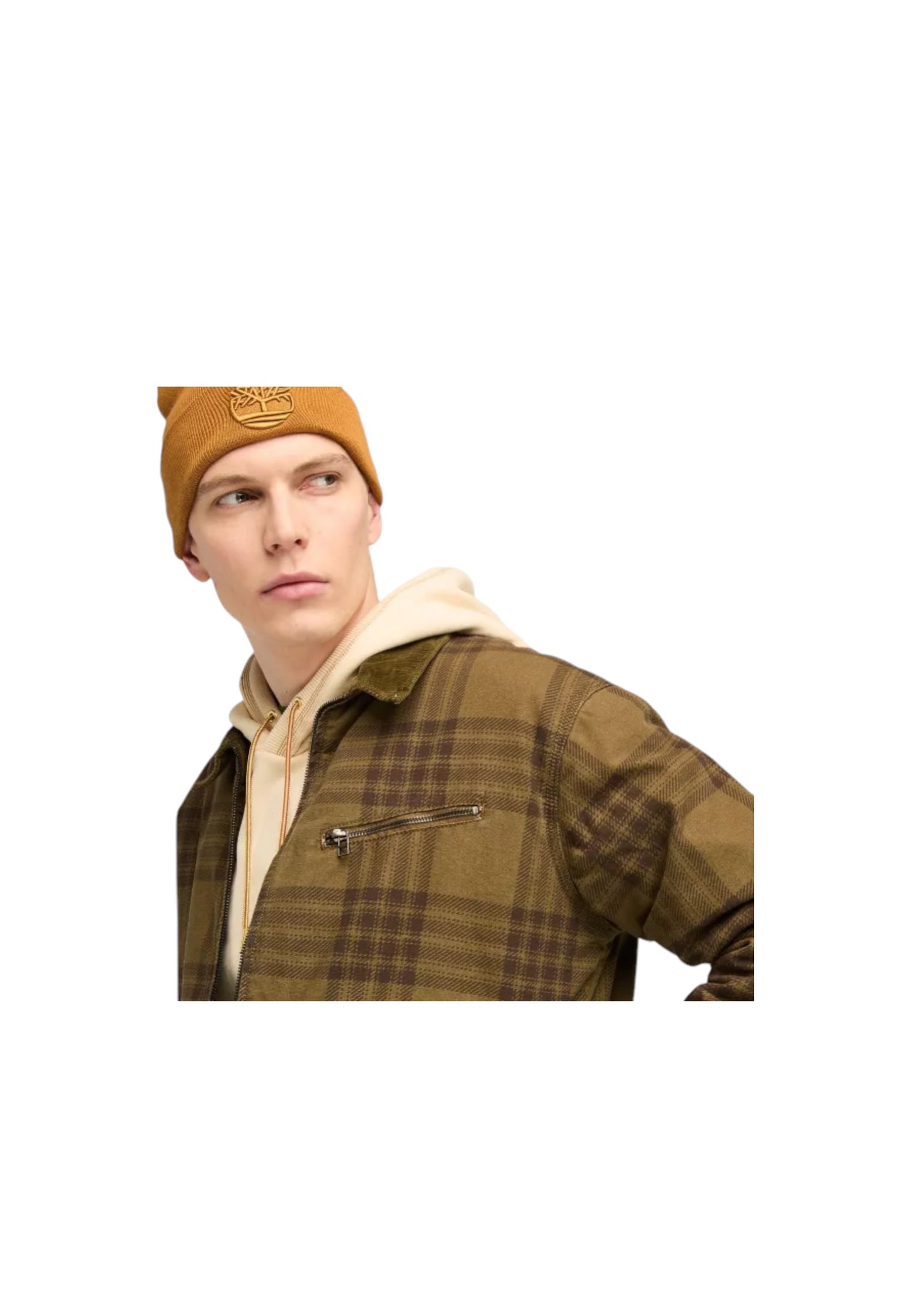 TB0A63AF - Giacca - Timberland
