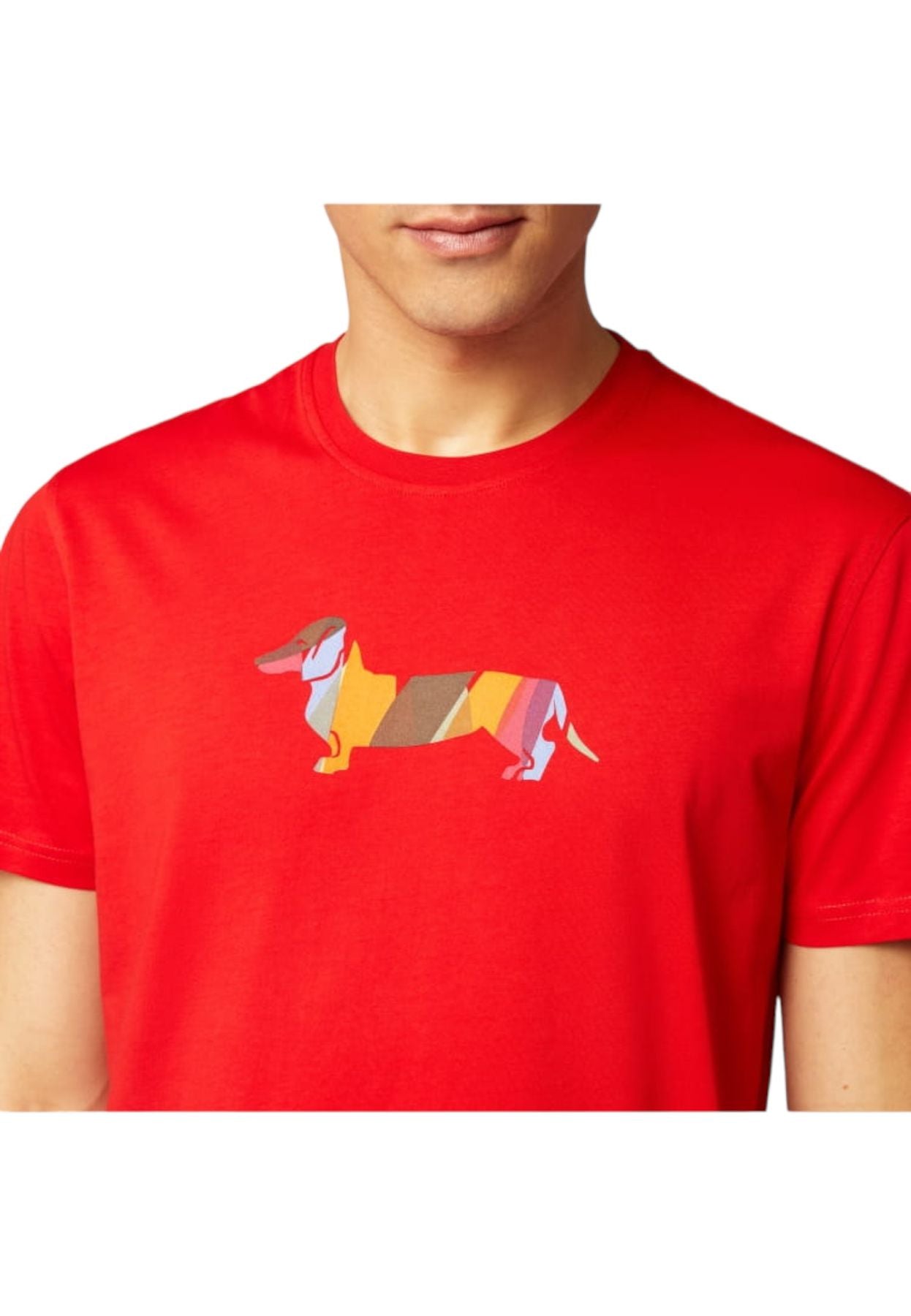 IRJ003021223 - T-shirt - Harmont & Blaine
