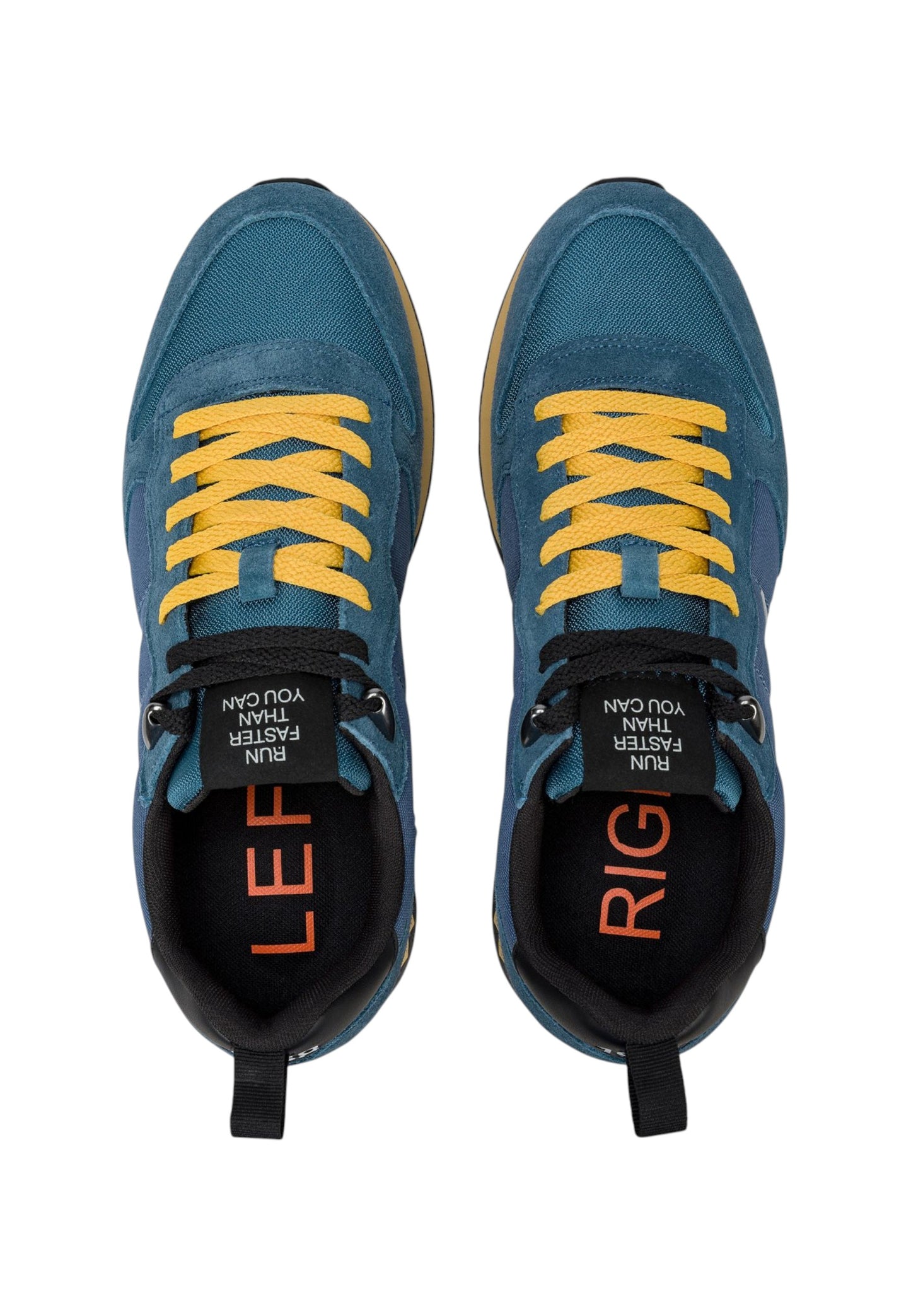Sneakers Basse Uomo Sun68 Tom Snake Z45104