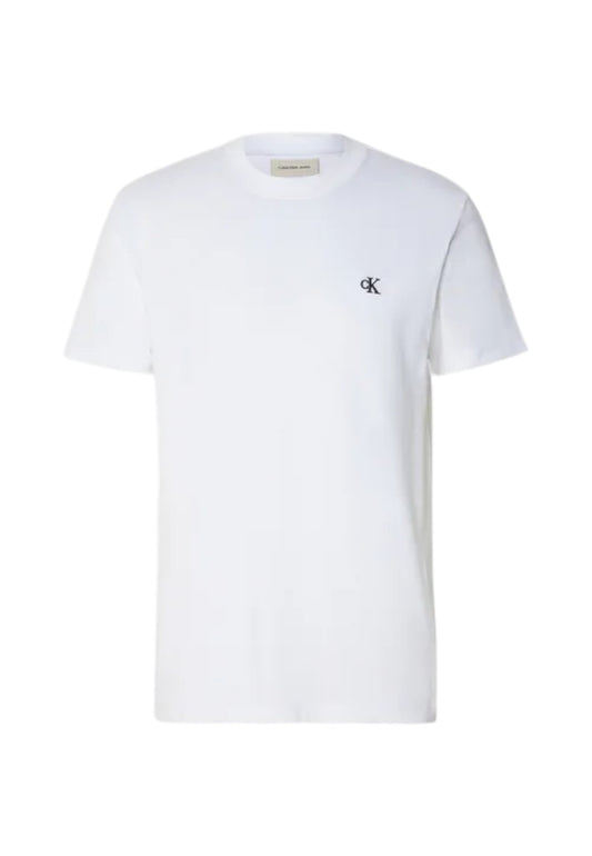 T-Shirt Manica Corta Uomo Calvin klein Jeans  Heavy Regular
