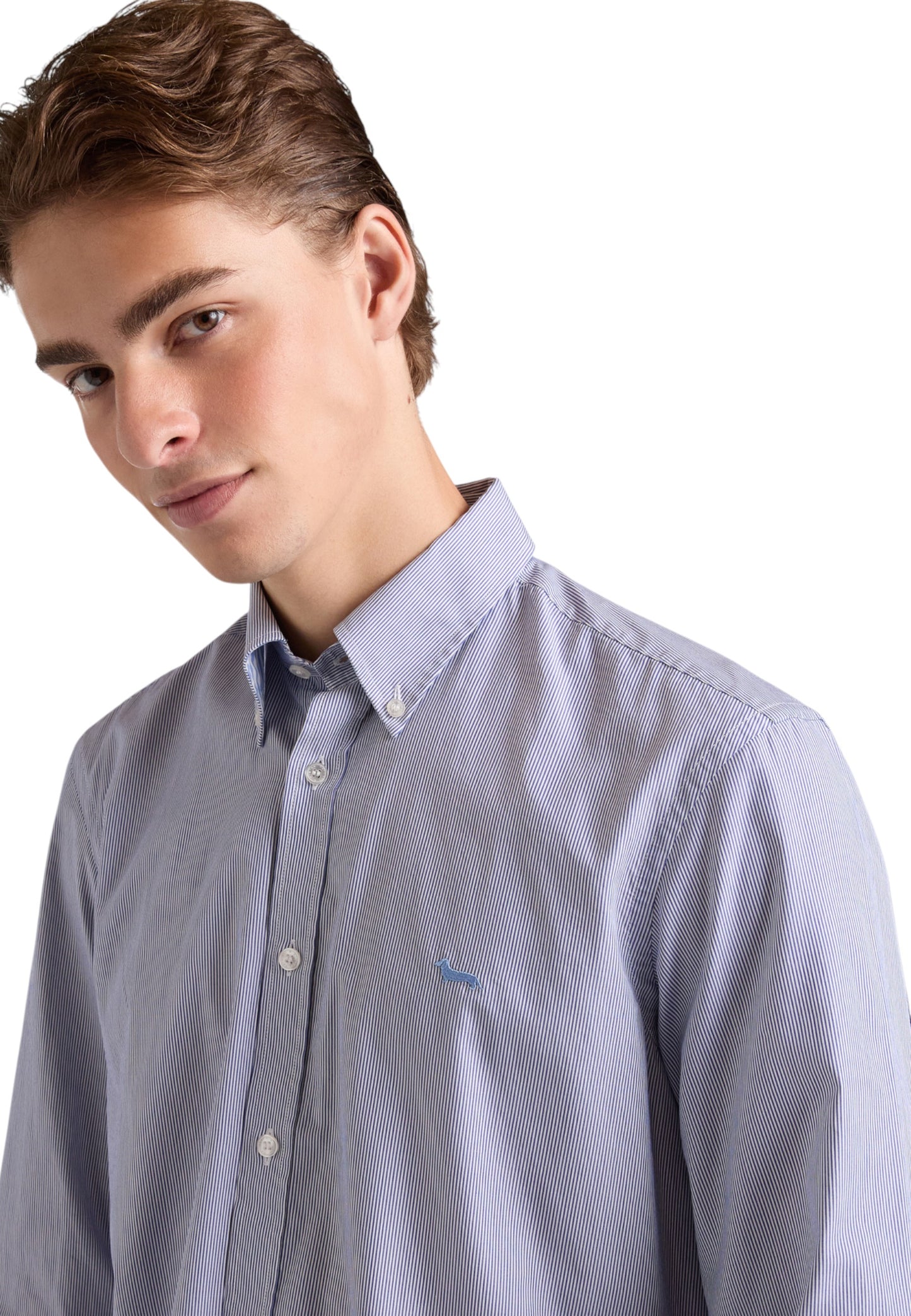 Camicia Manica lunga Uomo Harmont & Blaine A Microrighe Con Bassotto CRP074013435B