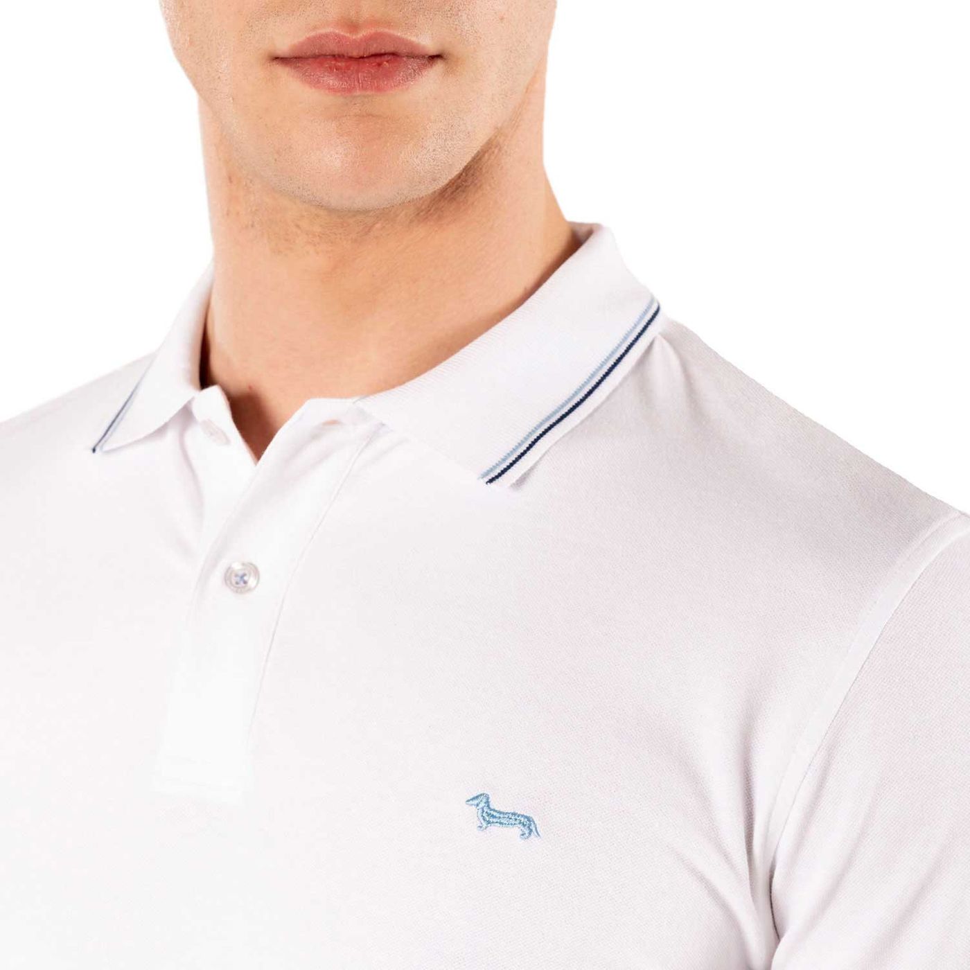 Polo Manica Corta Uomo Harmont & Blaine   LNH032020862