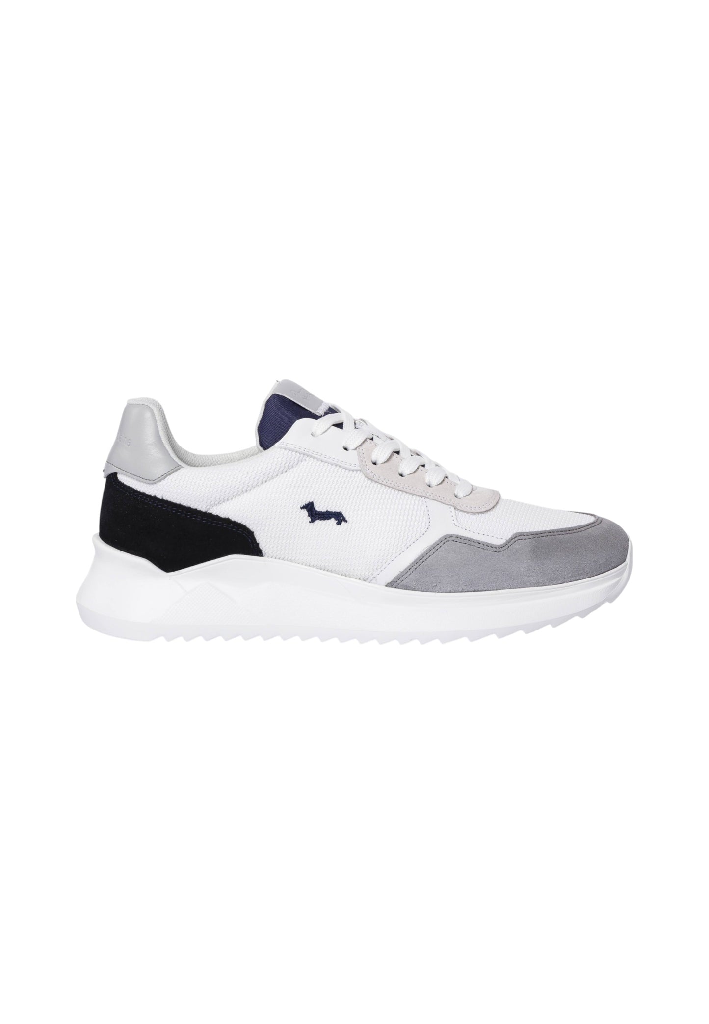 Sneakers Basse Uomo Harmont & Blaine EFM231060