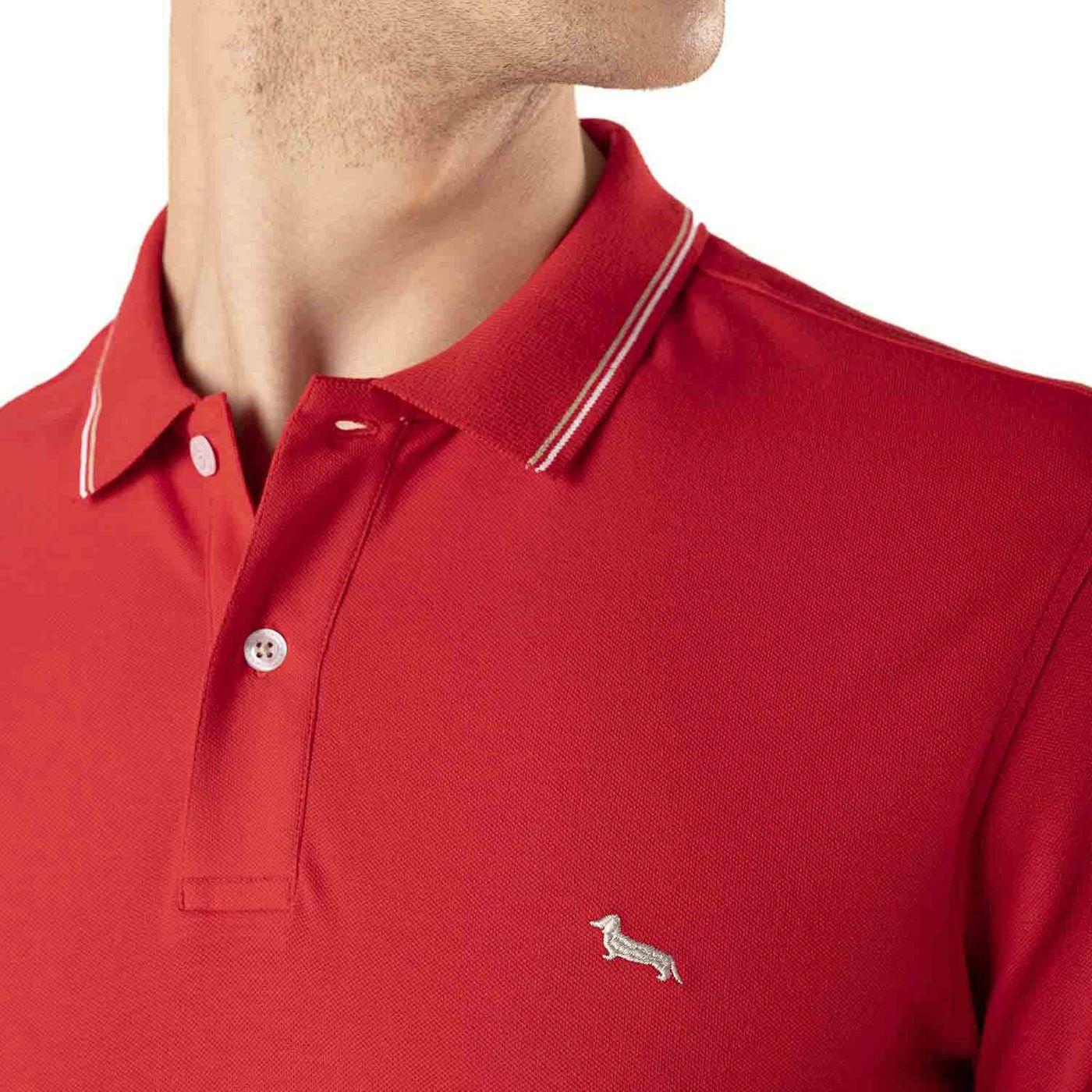 Polo Manica Corta Uomo Harmont & Blaine   LNH032020862