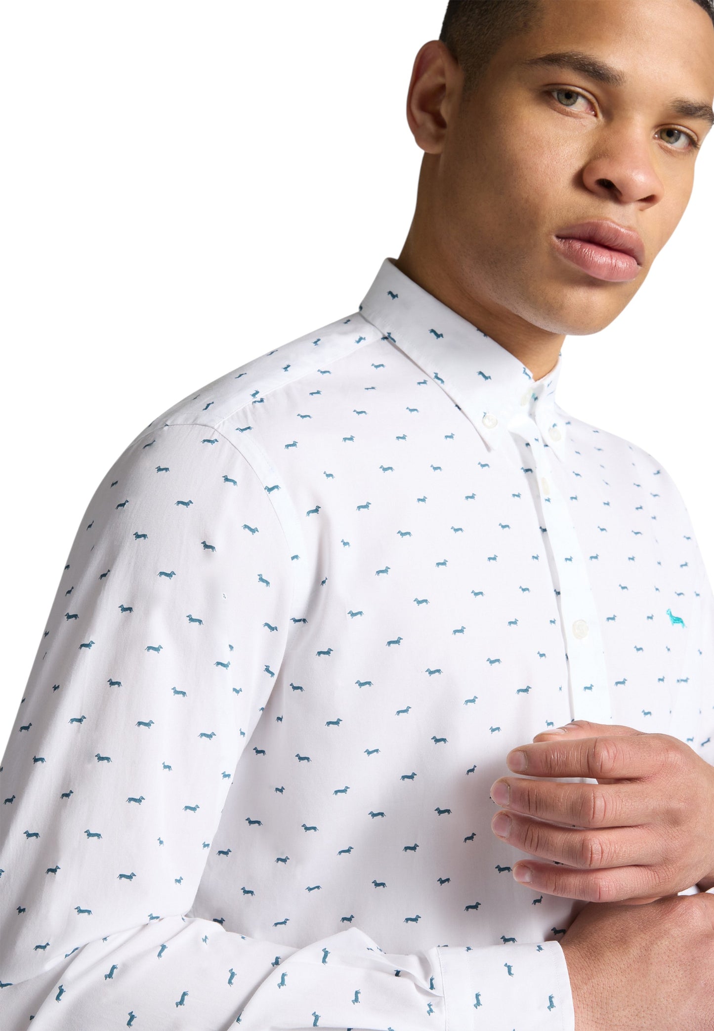 Camicia Manica lunga Uomo Harmont & Blaine Con Bassotti CRP001S08799M