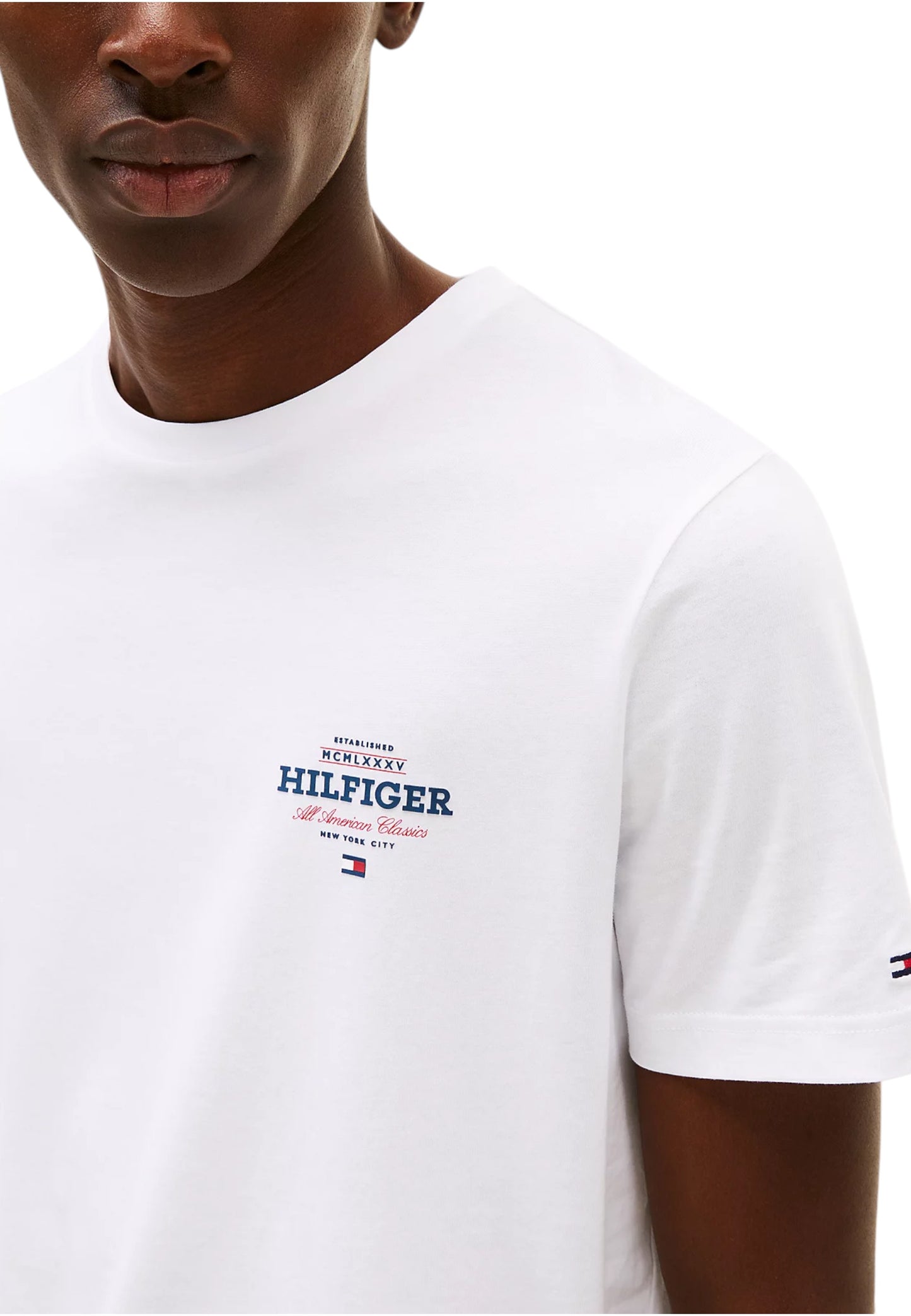 T-Shirt Manica Corta Uomo Tommy Hilfiger  Monotype All America