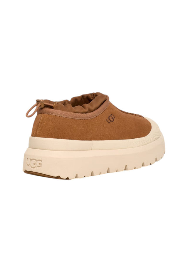 Sneakers Basse Uomo Ugg M Tasman Weather Hybrid
