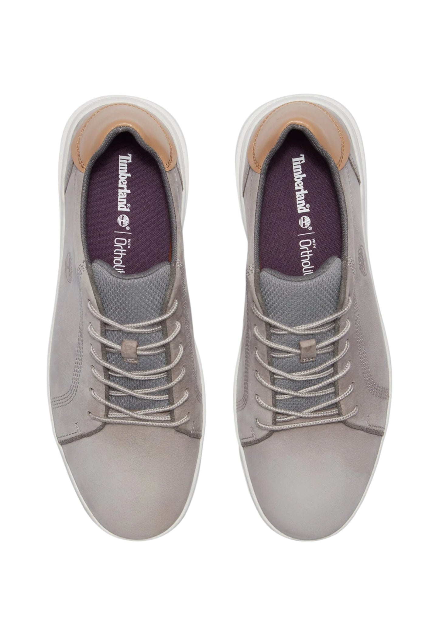 Sneakers Uomo Timberland