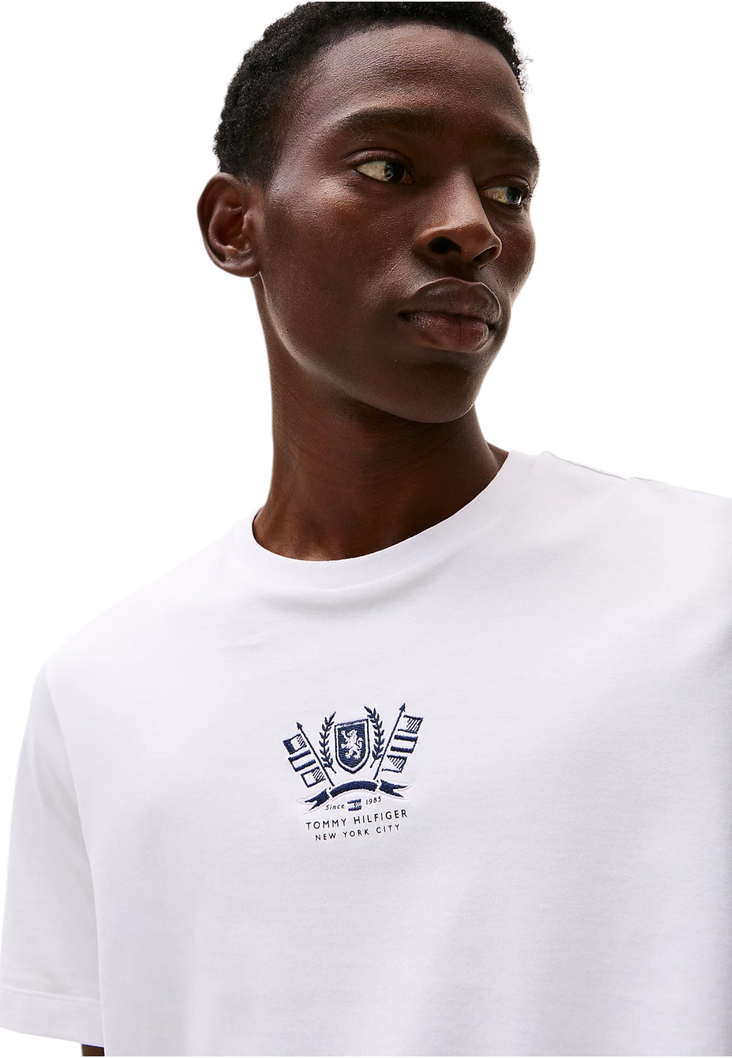 T-Shirt Manica Corta Uomo Tommy Hilfiger  Hilfiger Crest Embro