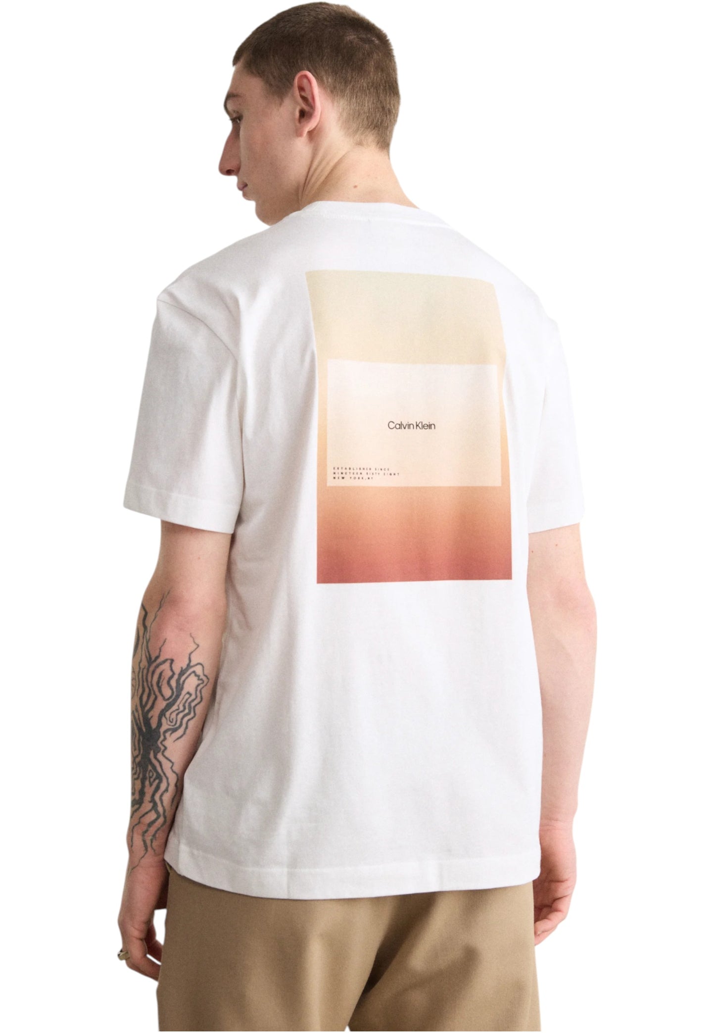 T-Shirt Manica Corta Uomo Calvin klein