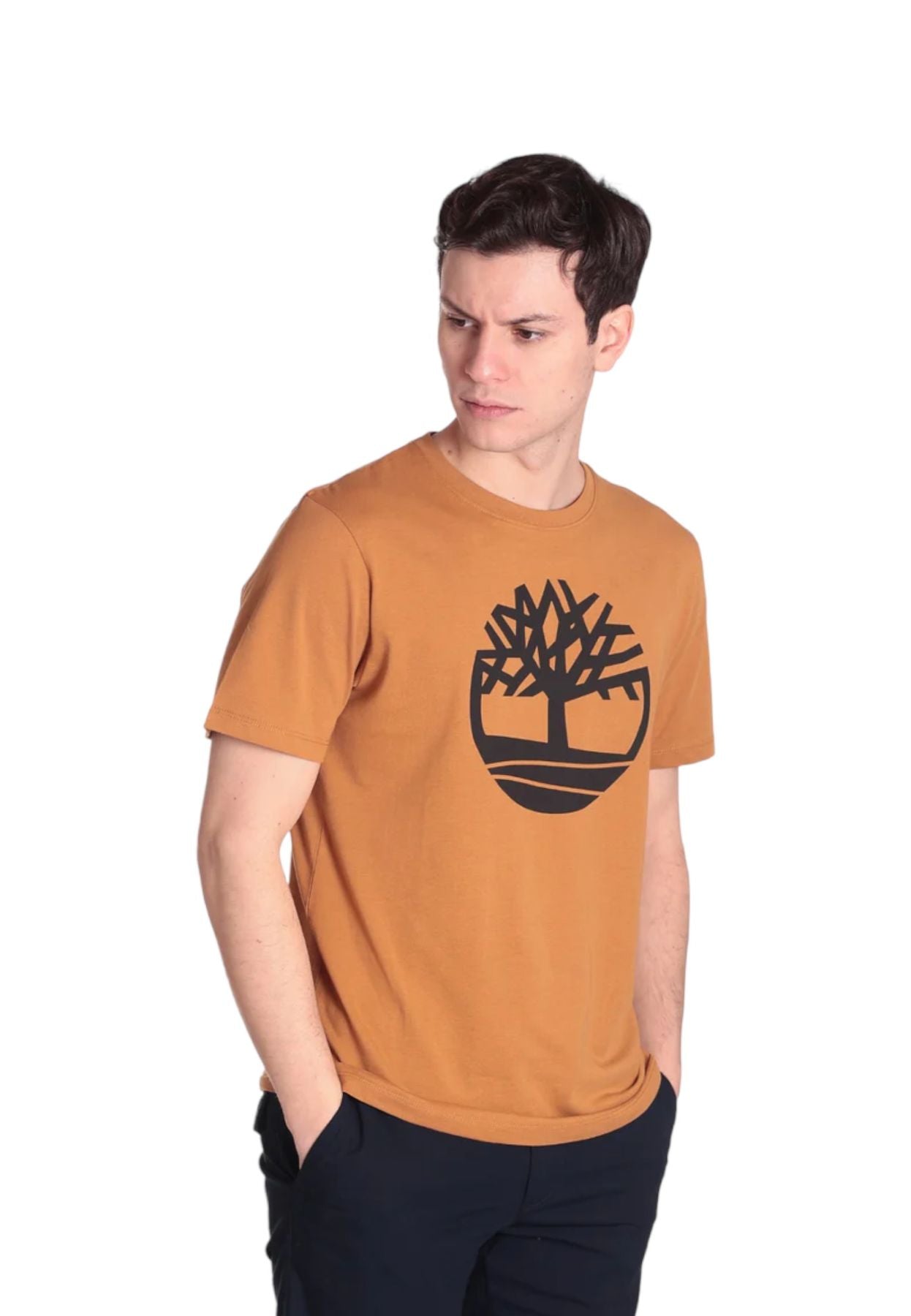 T-Shirt Manica Corta Uomo Timberland TB0A2C2R