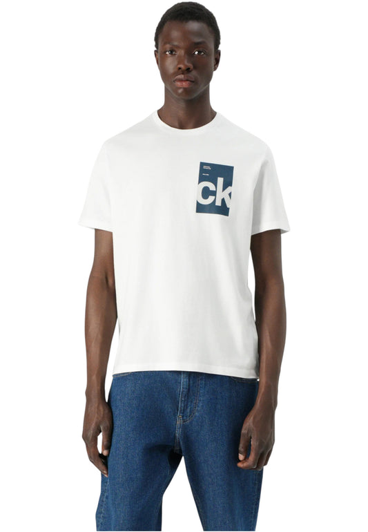 T-Shirt Manica Corta Uomo Calvin klein Jeans  30S Eu Bh Box Gra LV04RC847G