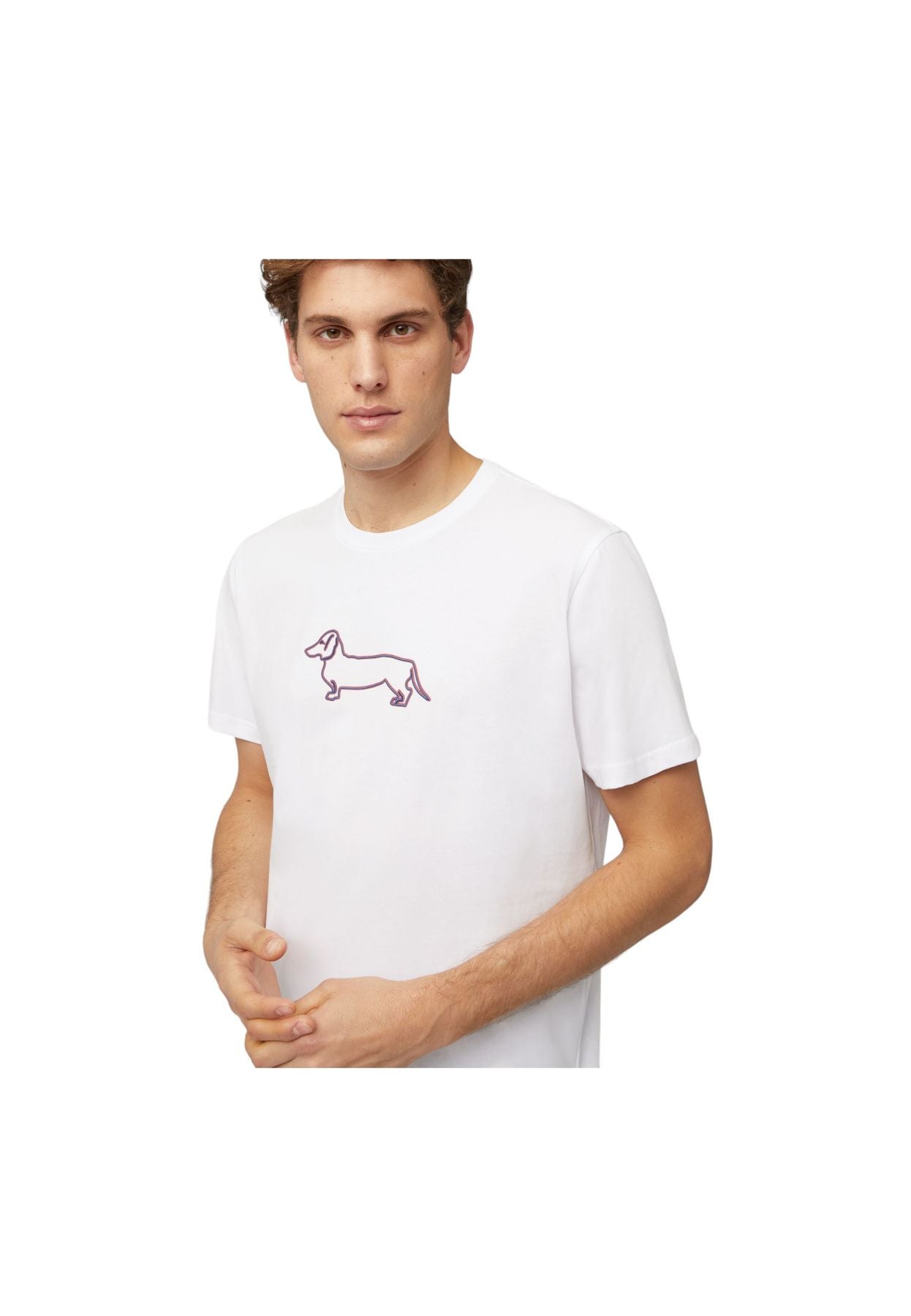T-Shirt Manica Corta Uomo Harmont & Blaine Con Stampa Bassotto 3D IRL003021223