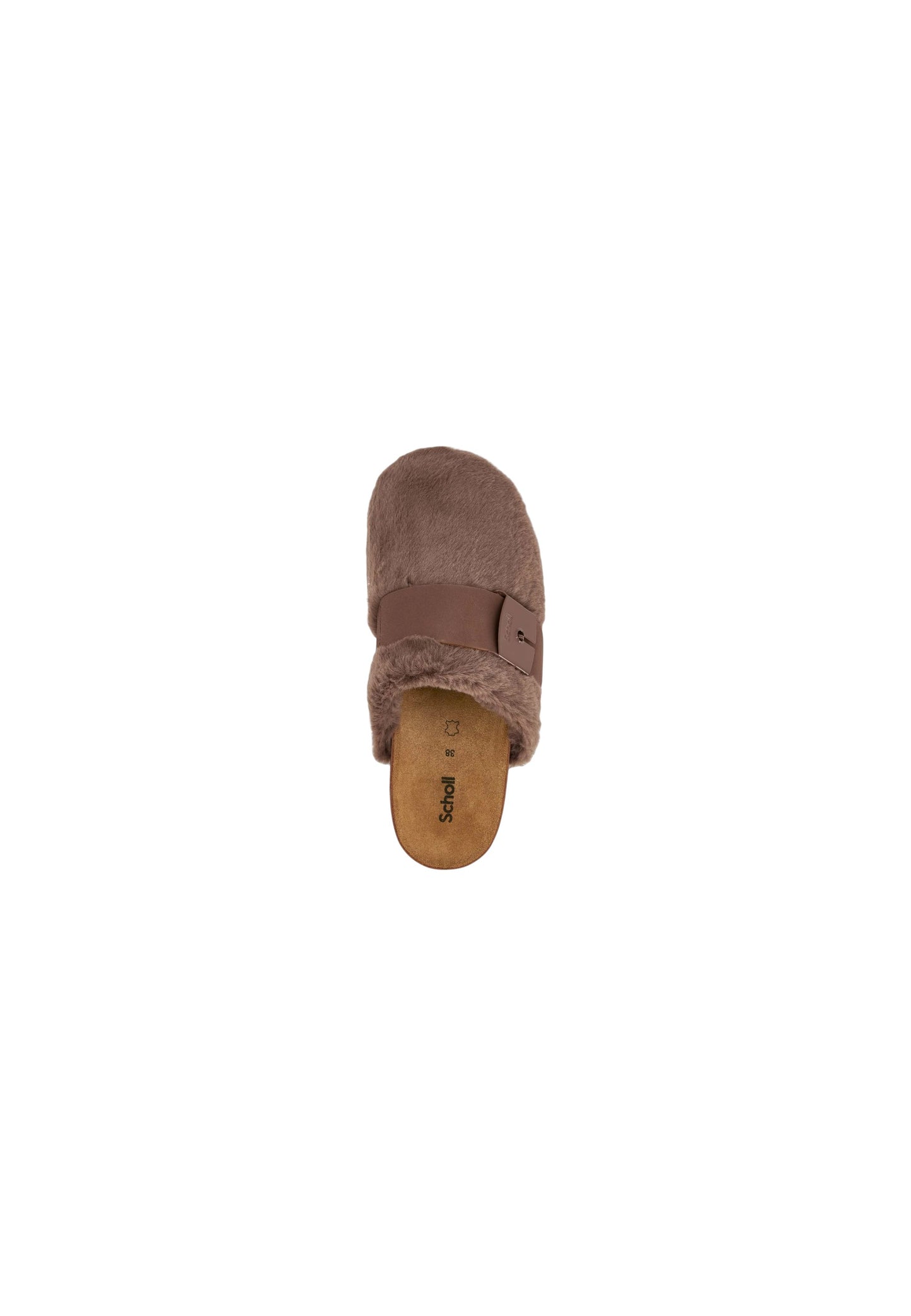 SL.F3162010 - Ciabatte - Scholl