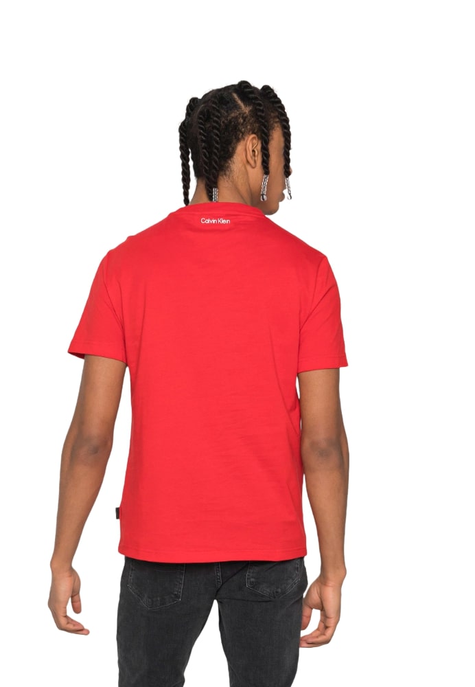 T-Shirt Manica Corta Uomo Calvin klein K10K108018