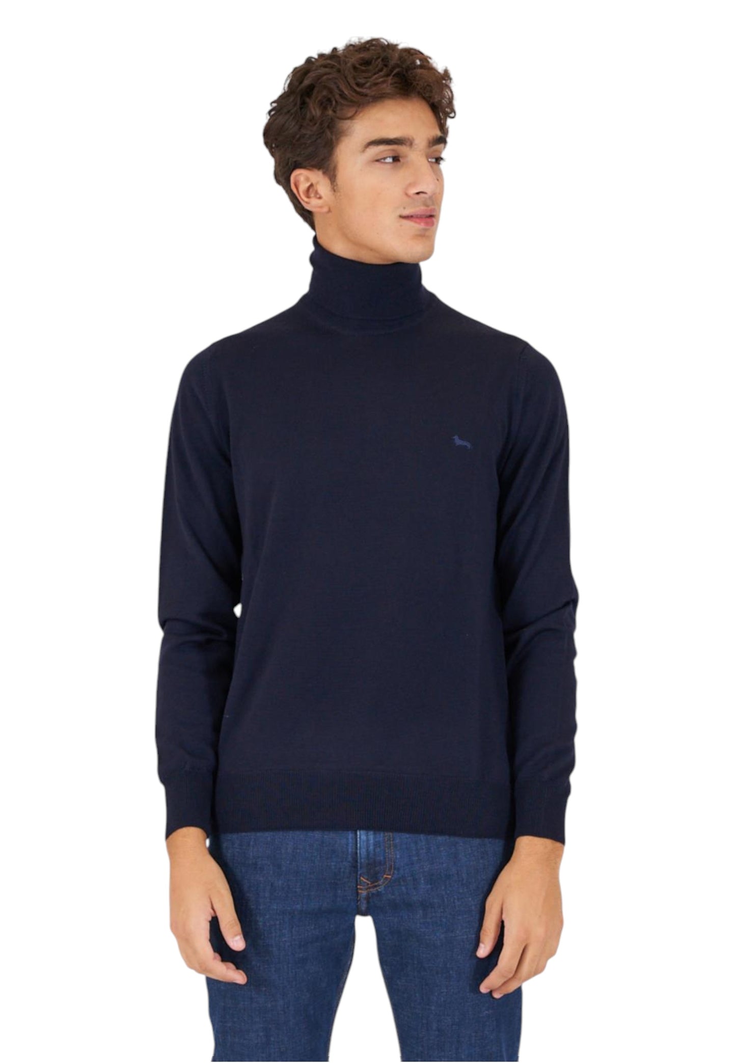 Maglione A Girocollo Uomo Harmont & Blaine HRI006030478