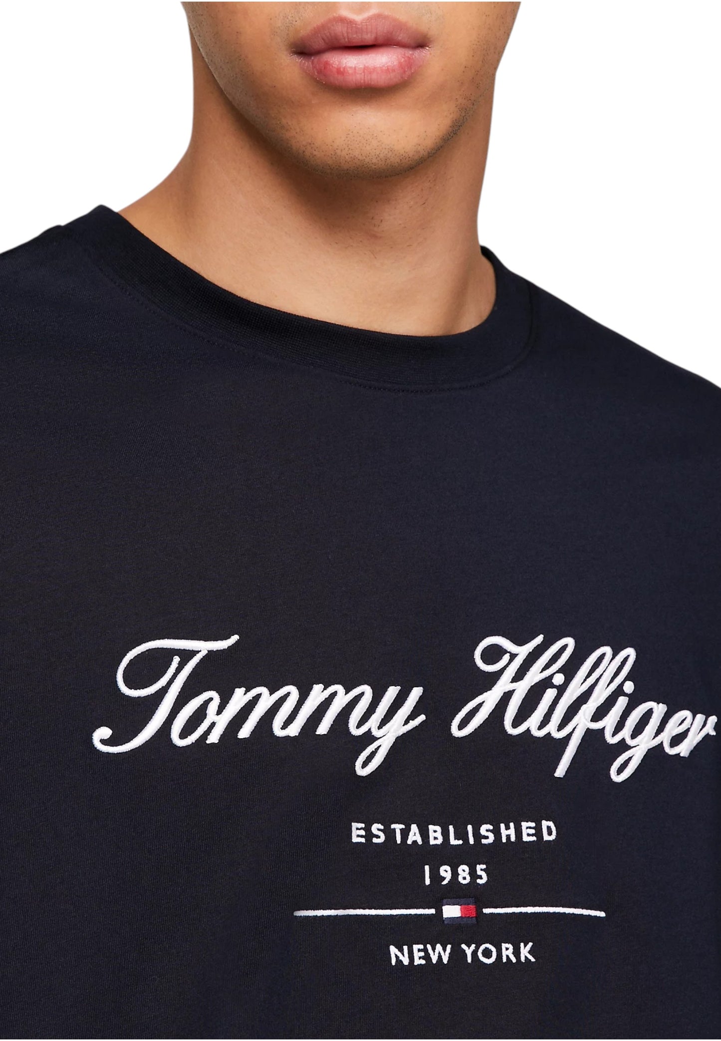 T-Shirt Manica Corta Uomo Tommy Hilfiger  Script Logo