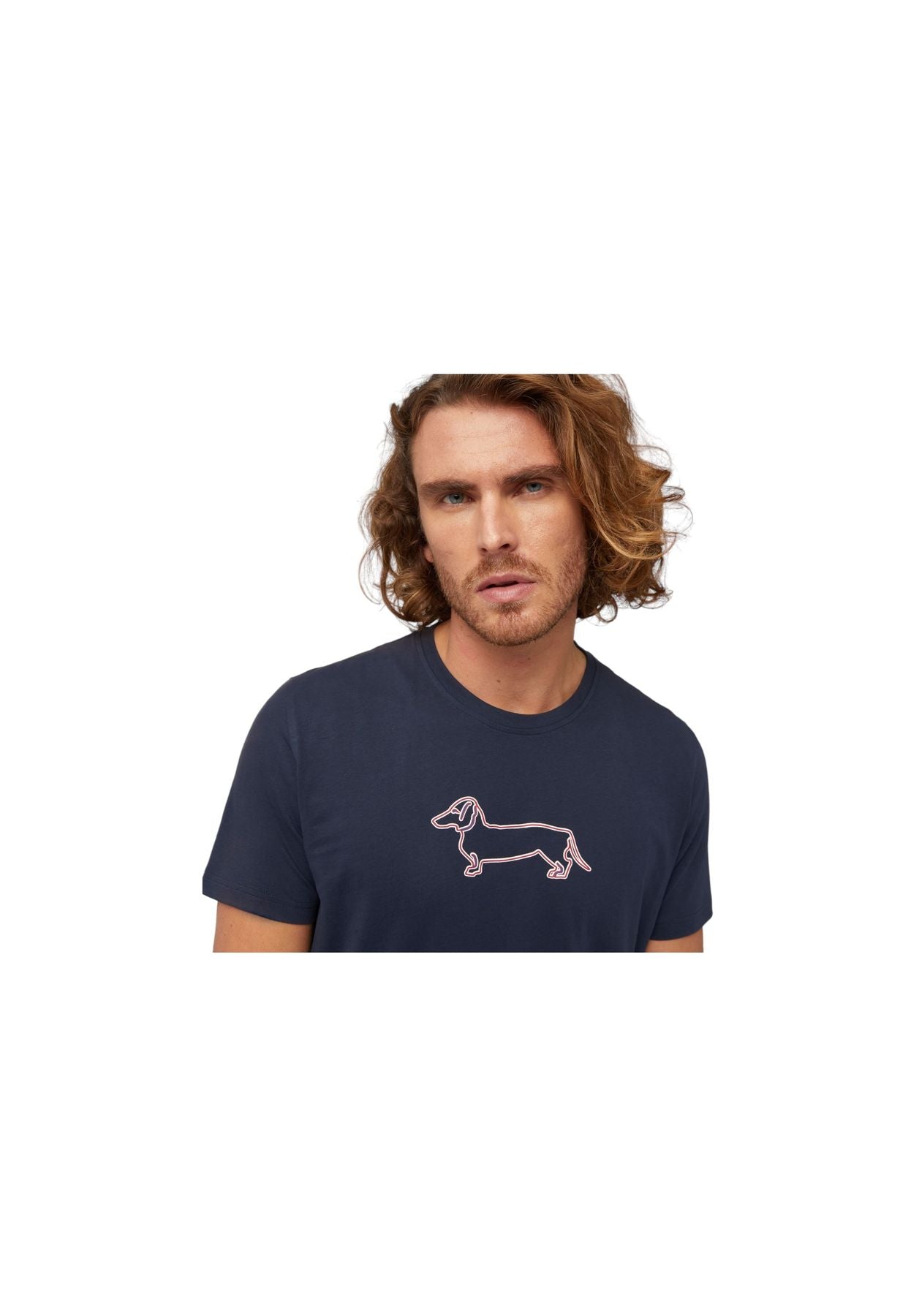 T-Shirt Manica Corta Uomo Harmont & Blaine Con Stampa Bassotto 3D IRL003021223