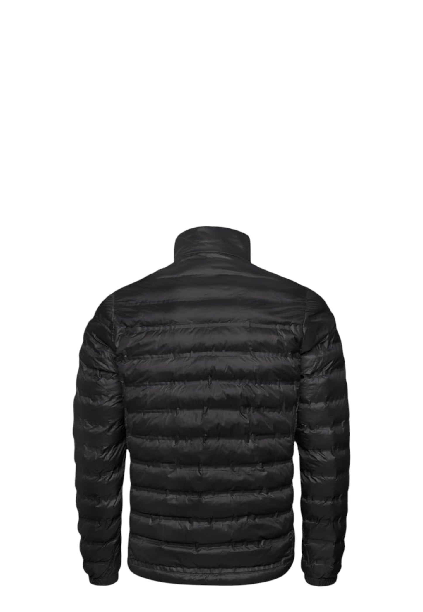 Giacca Invernale Uomo Blauer
