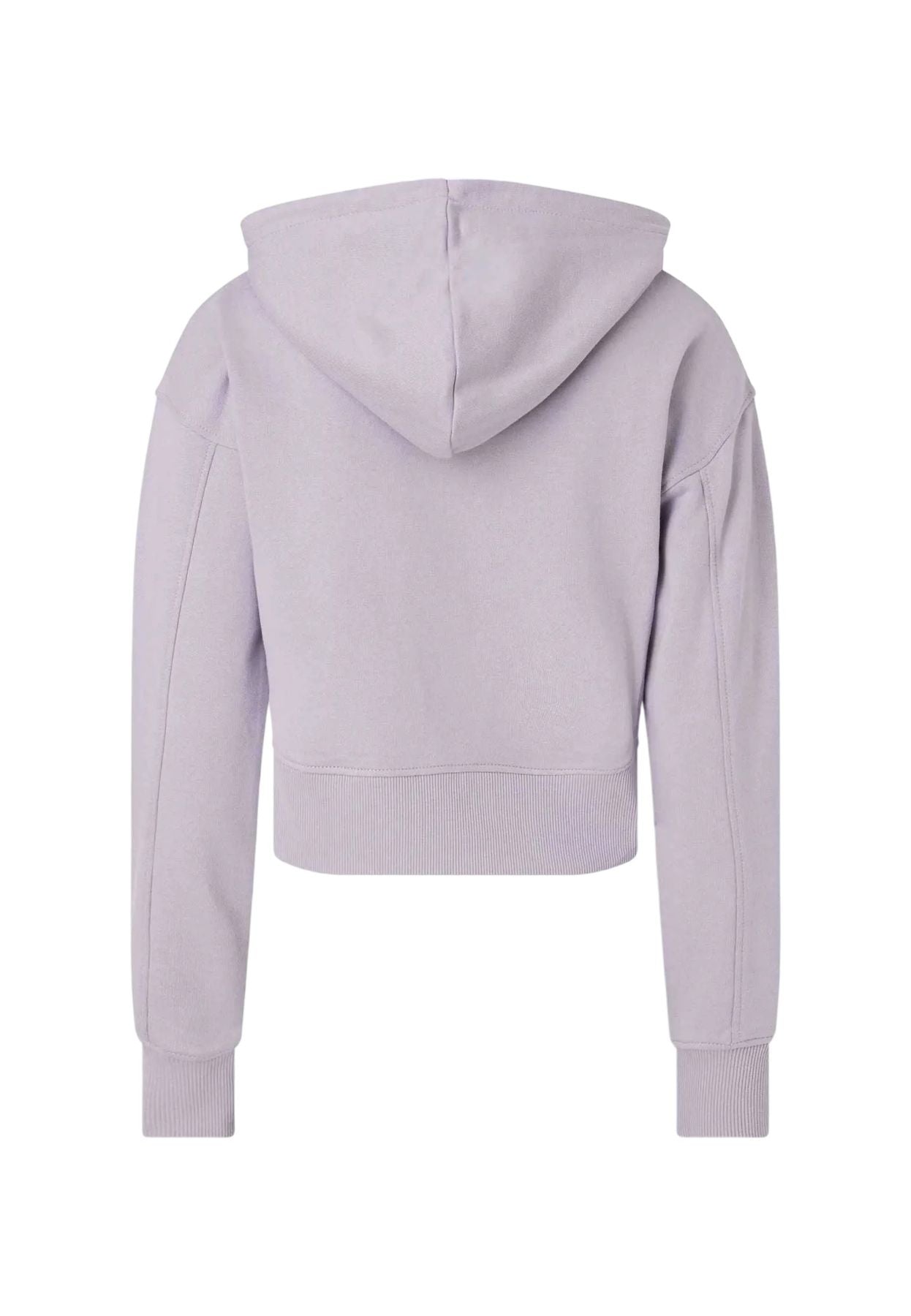 Felpa Con Cappuccio Donna Calvin klein Jeans J20J221341