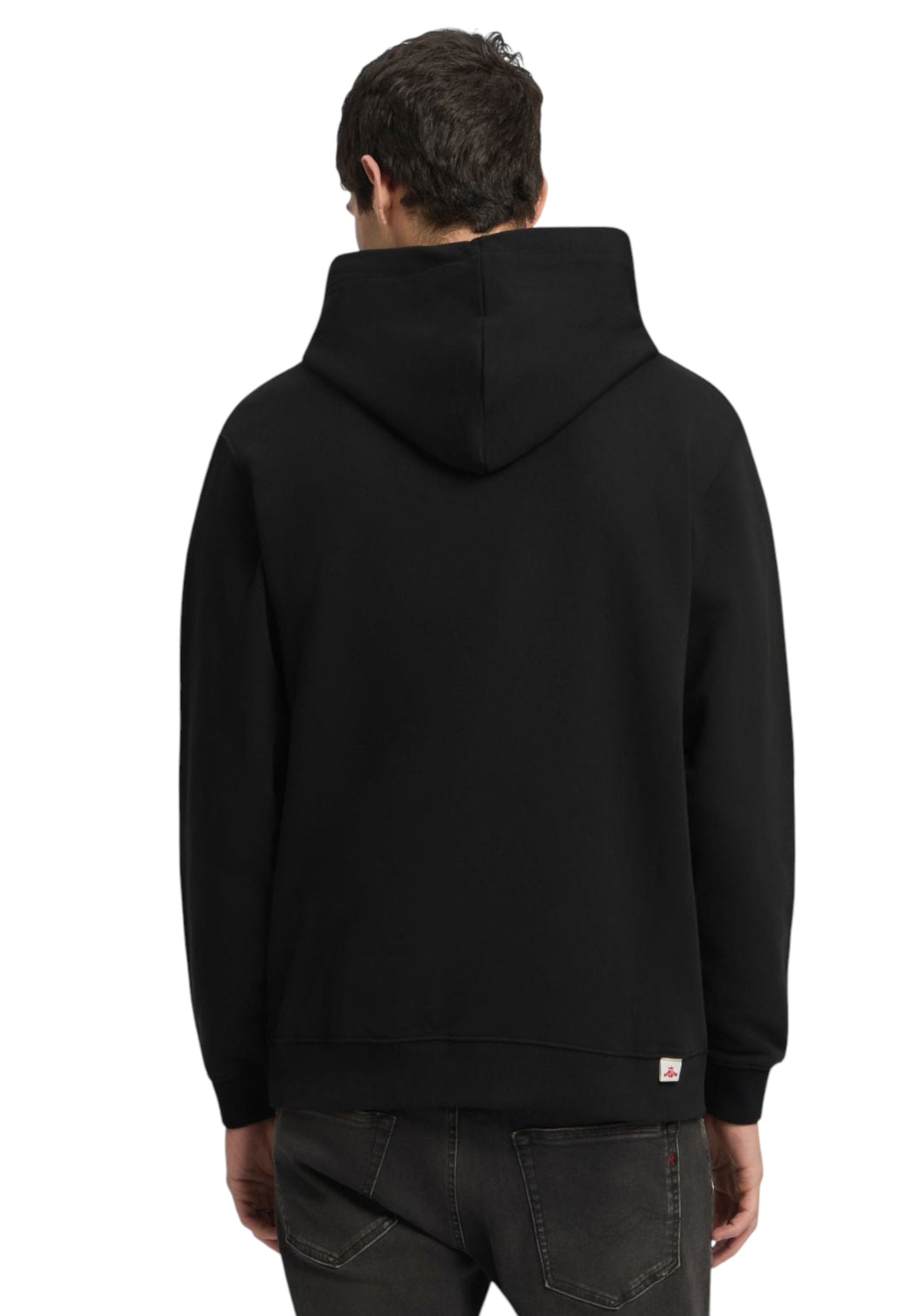 Felpa Con Cappuccio Uomo Replay Con Lettering Embroidery  M3189 .000.23802