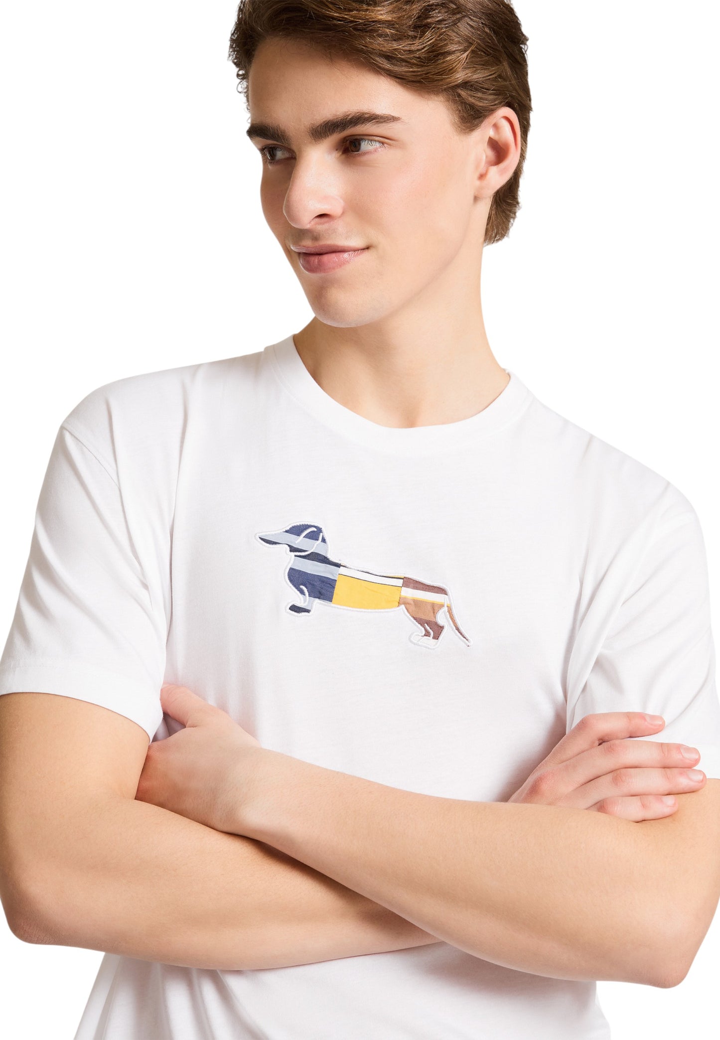 T-Shirt Manica Corta Uomo Harmont & Blaine Logo Up Cycling IXP273021055