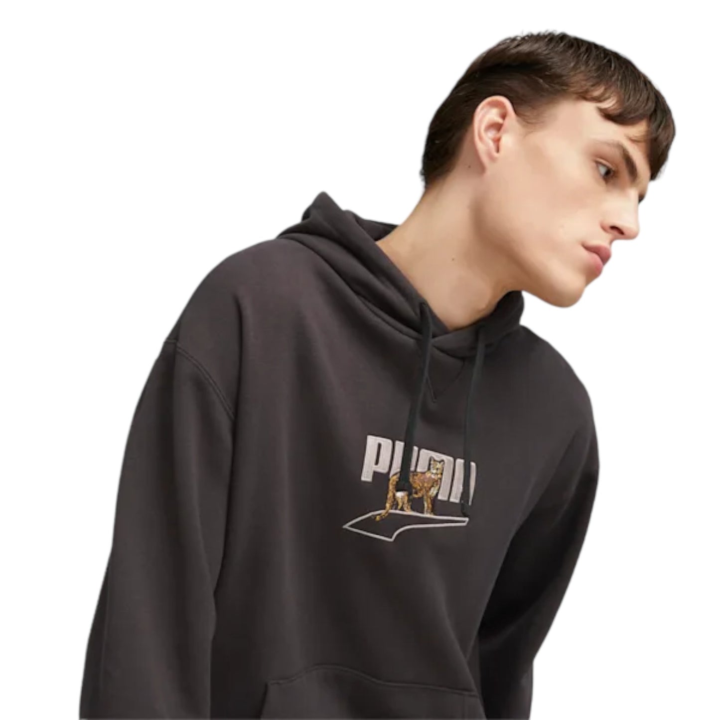 Felpa Con Cappuccio Uomo Puma 538244