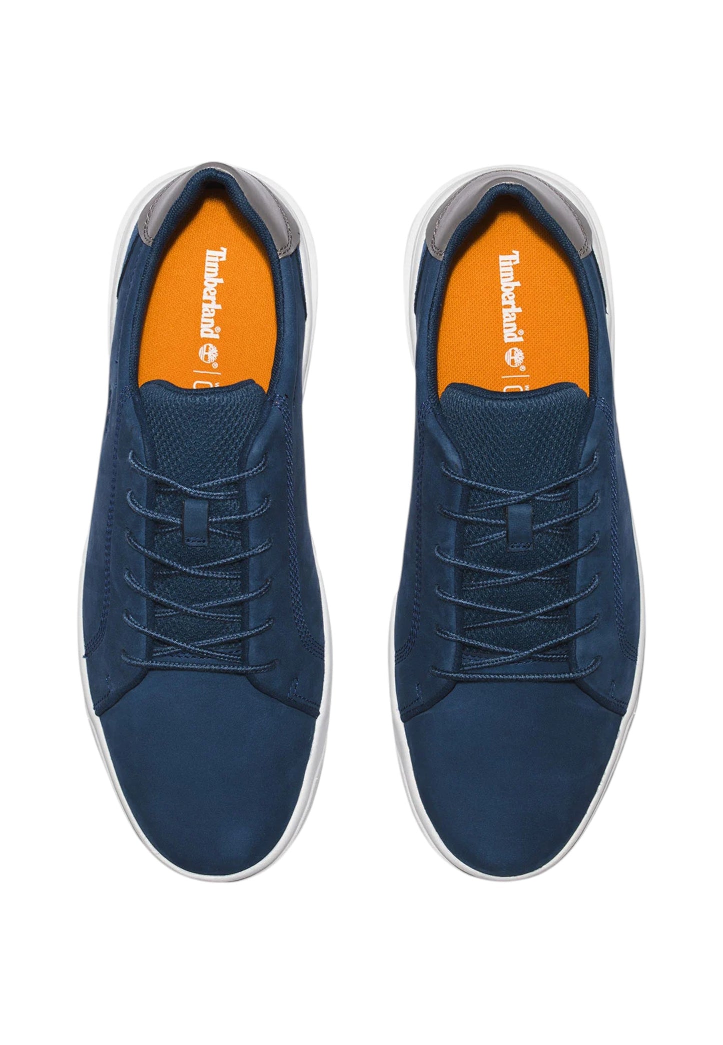 Sneakers Uomo Timberland