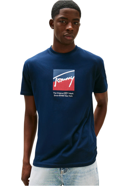 T-Shirt Manica Corta Uomo Tommy Jeans  Tjm Regular Rwb Dna DM0DM21940