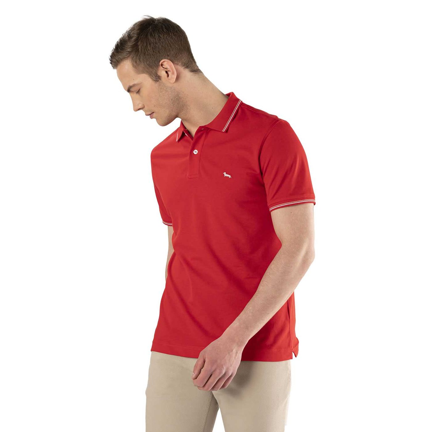 Polo Manica Corta Uomo Harmont & Blaine   LNH032020862