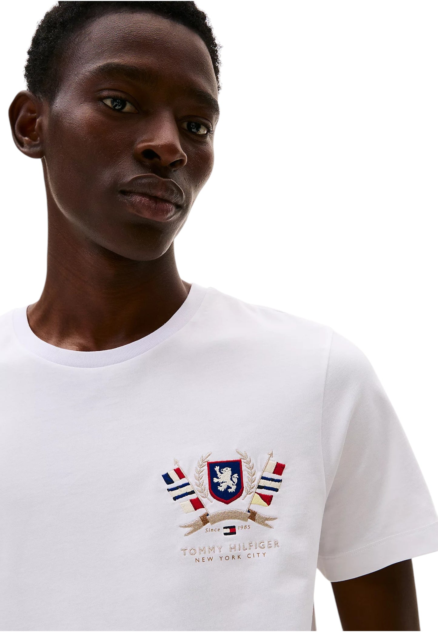 T-Shirt Manica Corta Uomo Tommy Hilfiger  Hilfiger Colour Crest