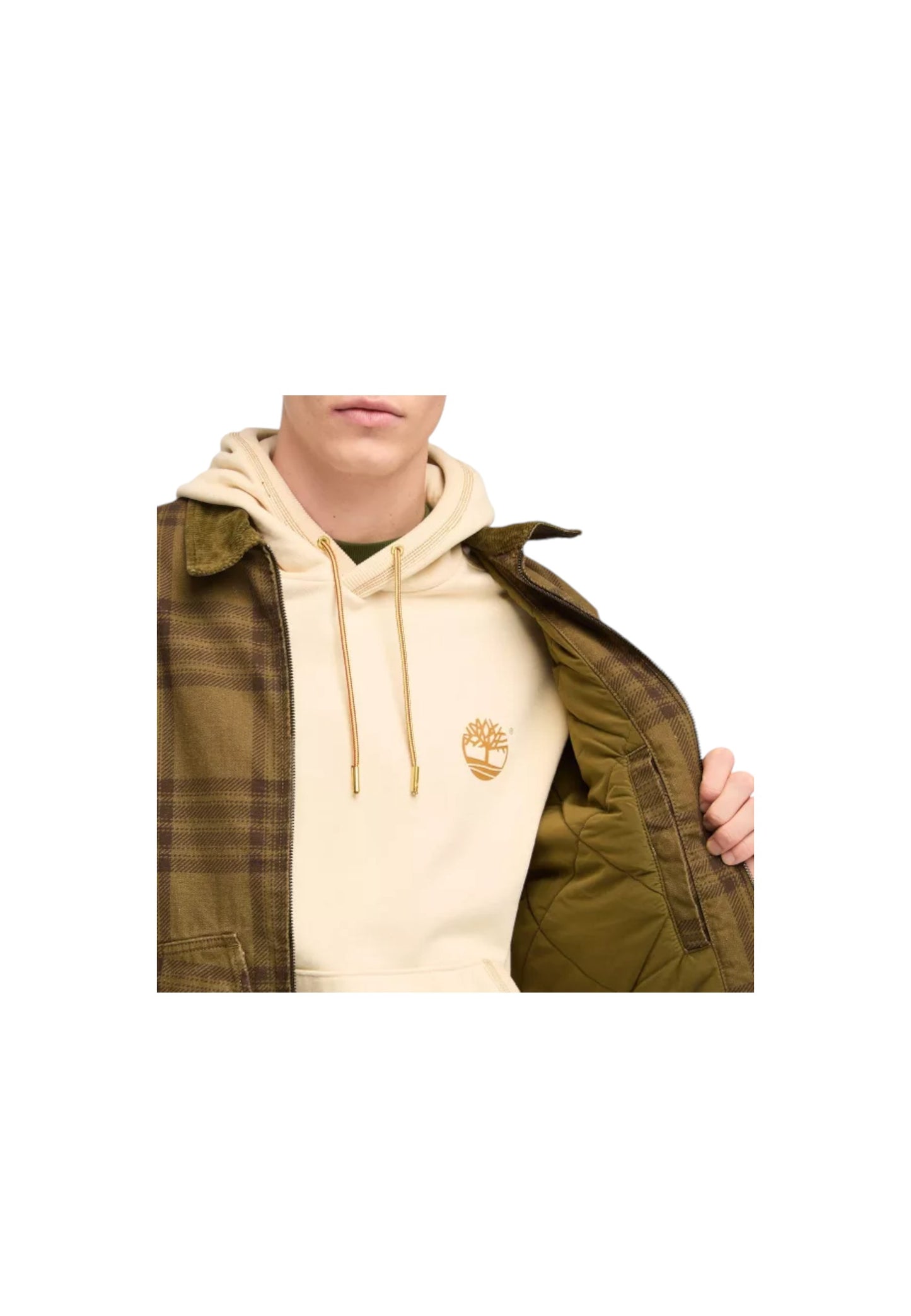 TB0A63AF - Giacca - Timberland
