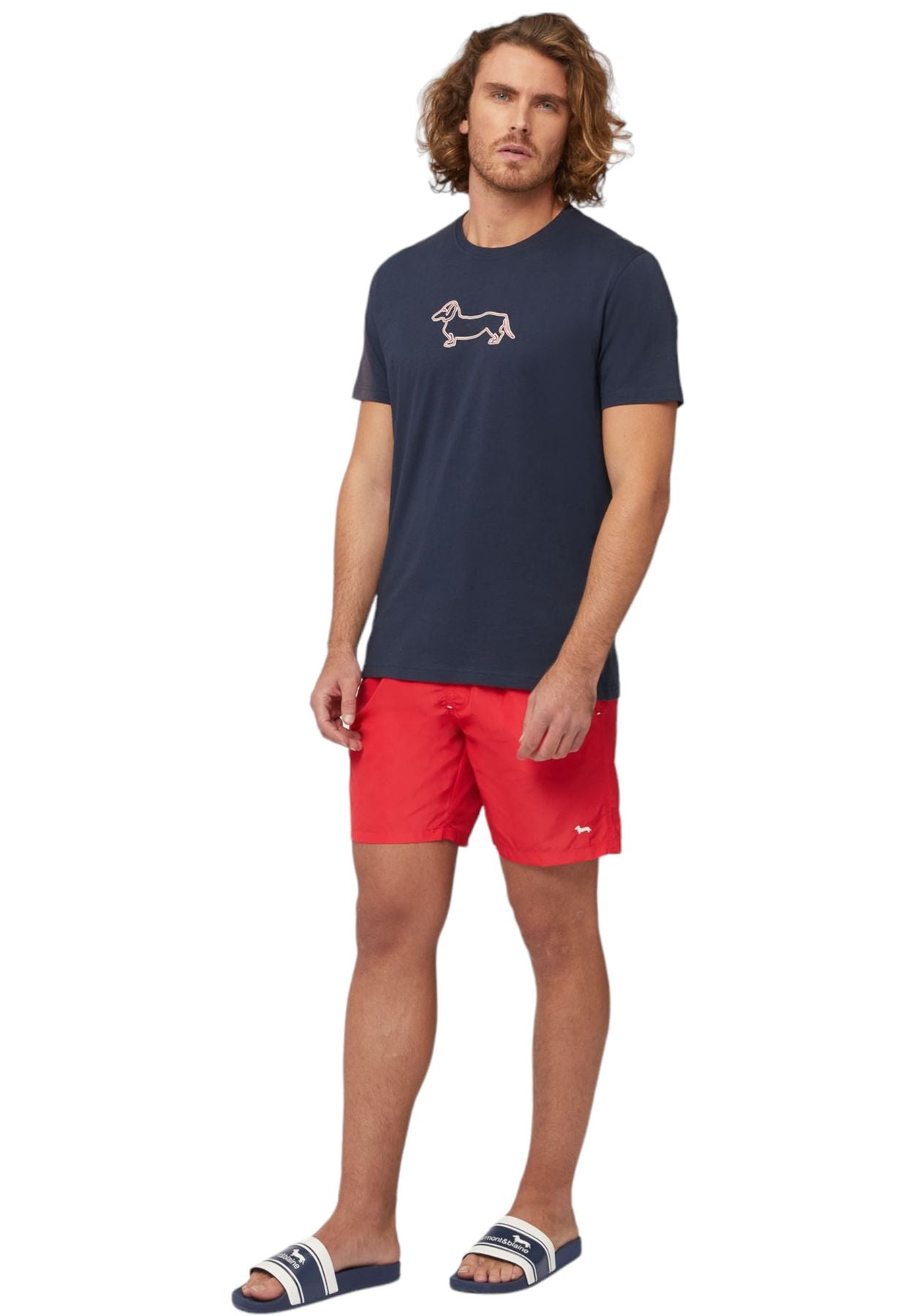 T-Shirt Manica Corta Uomo Harmont & Blaine Con Stampa Bassotto 3D IRL003021223