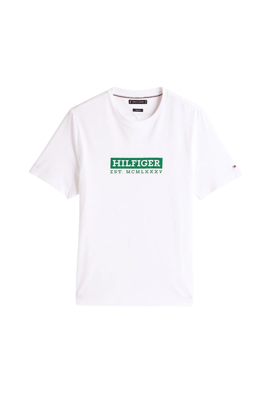 T-Shirt Manica Corta Uomo Tommy Hilfiger  Colour To Colour Graphic