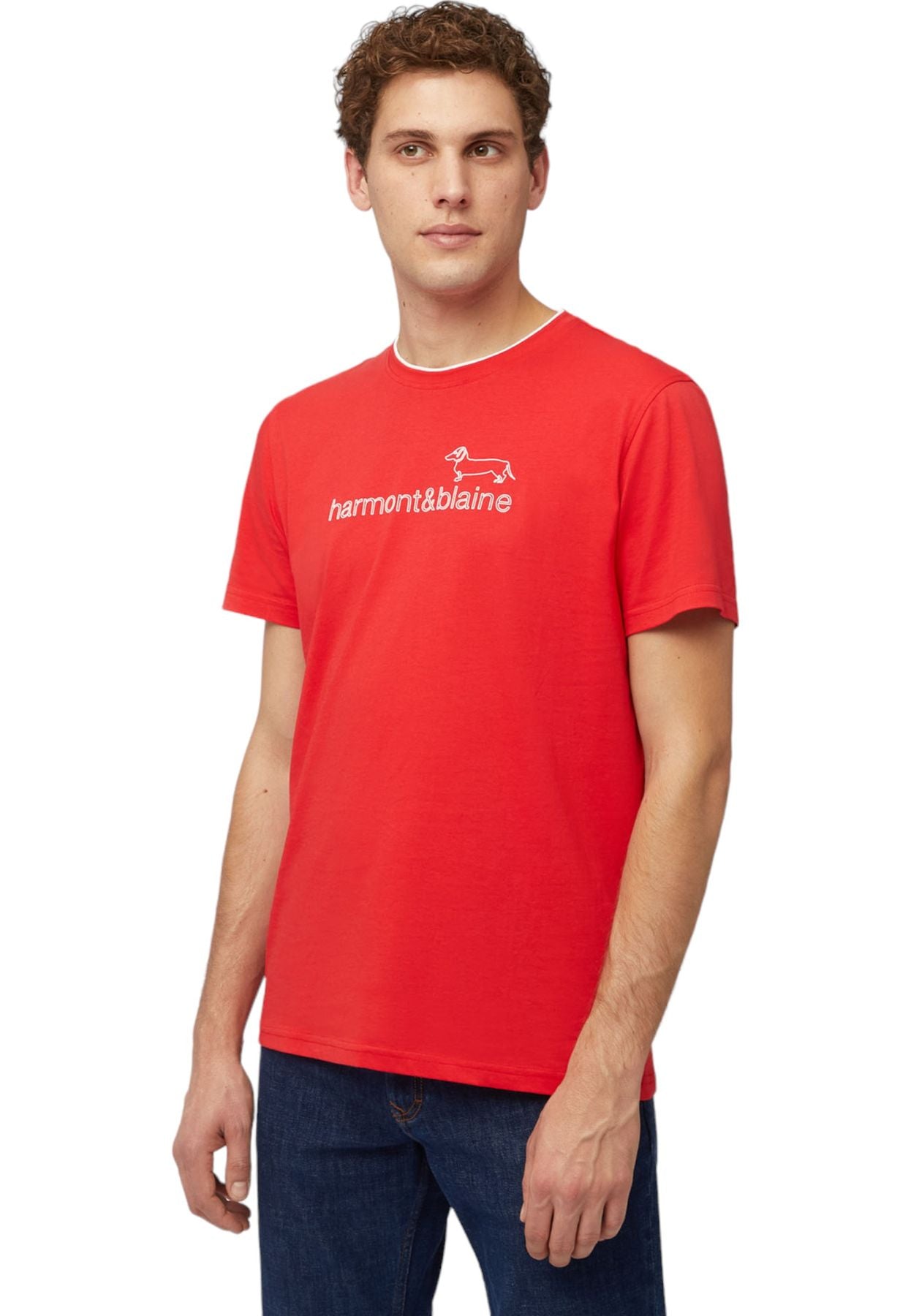 IRL231021055 - T-shirt - Harmont & Blaine