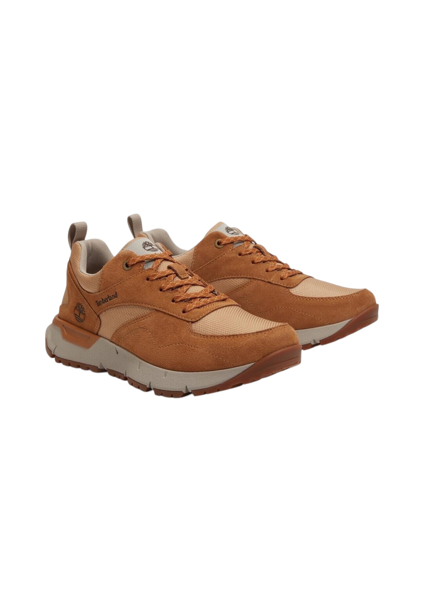 Sneakers  Uomo Timberland