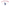 Logo U.S. Polo Assn. Uomo - Collezione Casual American Lifestyle