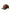 Cappello Baseball Uomo Deus Ex Machina   D261UHA725