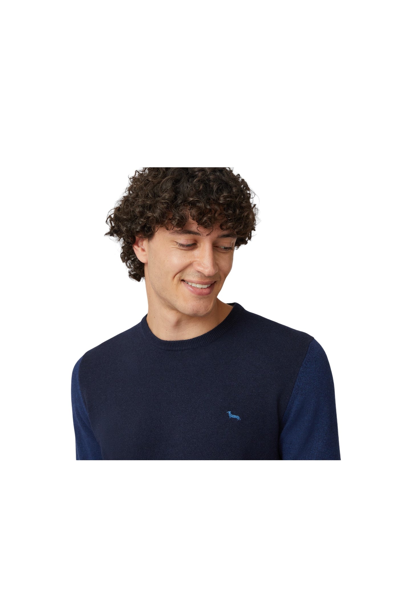 HRM677030187 - Maglione - Harmont & Blaine