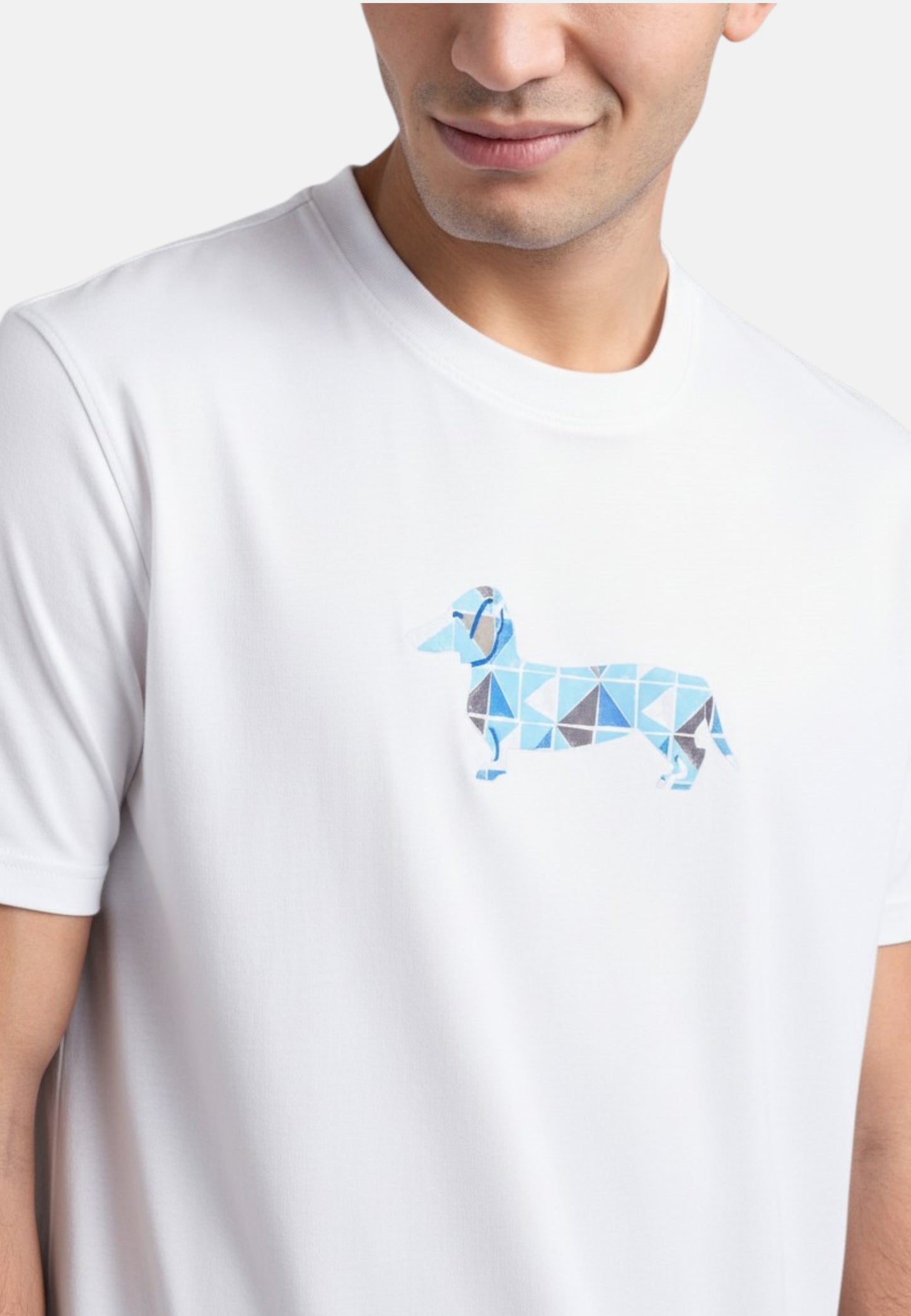 T-Shirt Manica Corta Uomo Harmont & Blaine Con Stampa Bassotto 3D  IRQ403021055S