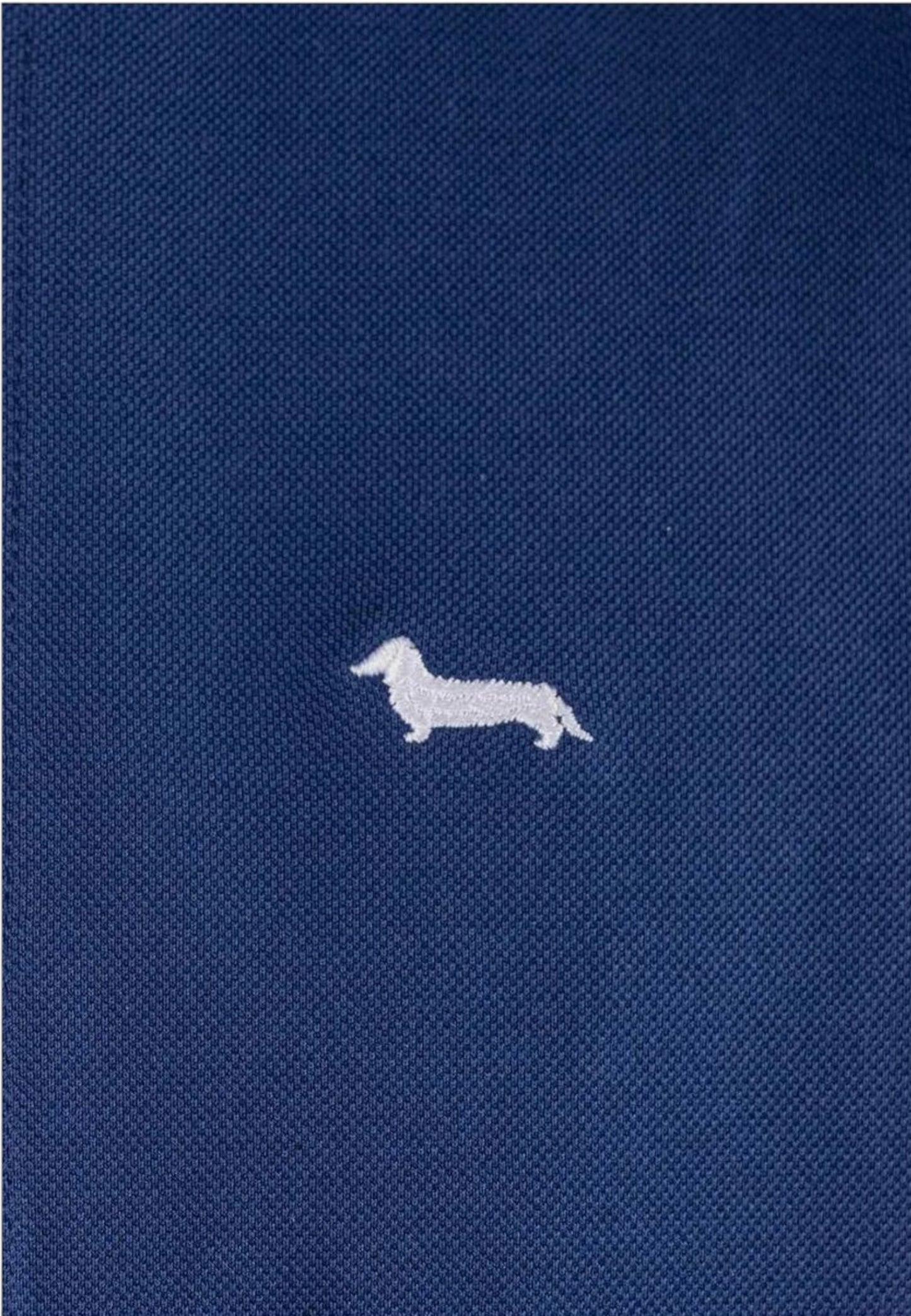 Polo Manica Corta Uomo Harmont & Blaine   LRH284021148