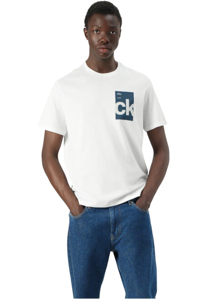 T-Shirt Manica Corta Uomo Calvin klein Jeans  30S Eu Bh Box Gra LV04RC847G