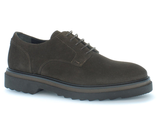 EFM232090 - Chaussures à lacets - Harmont &amp; Blaine