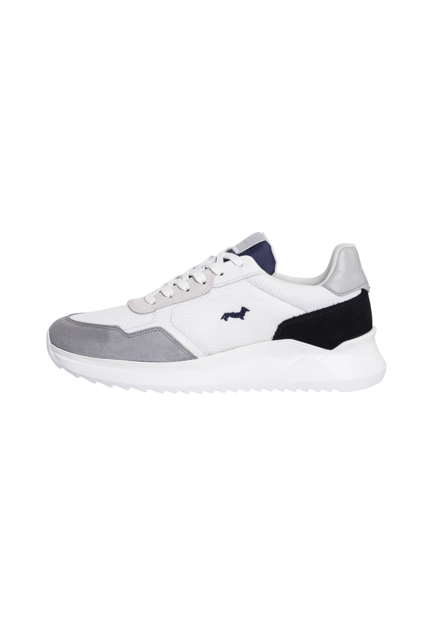 Sneakers Basse Uomo Harmont & Blaine   EFM231060