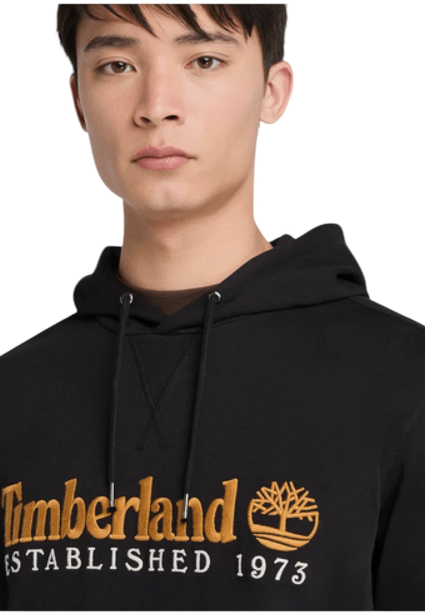 Felpa Con Cappuccio Uomo Timberland  Established 1973 Embroidered Logo Loopback TB0A5MX8