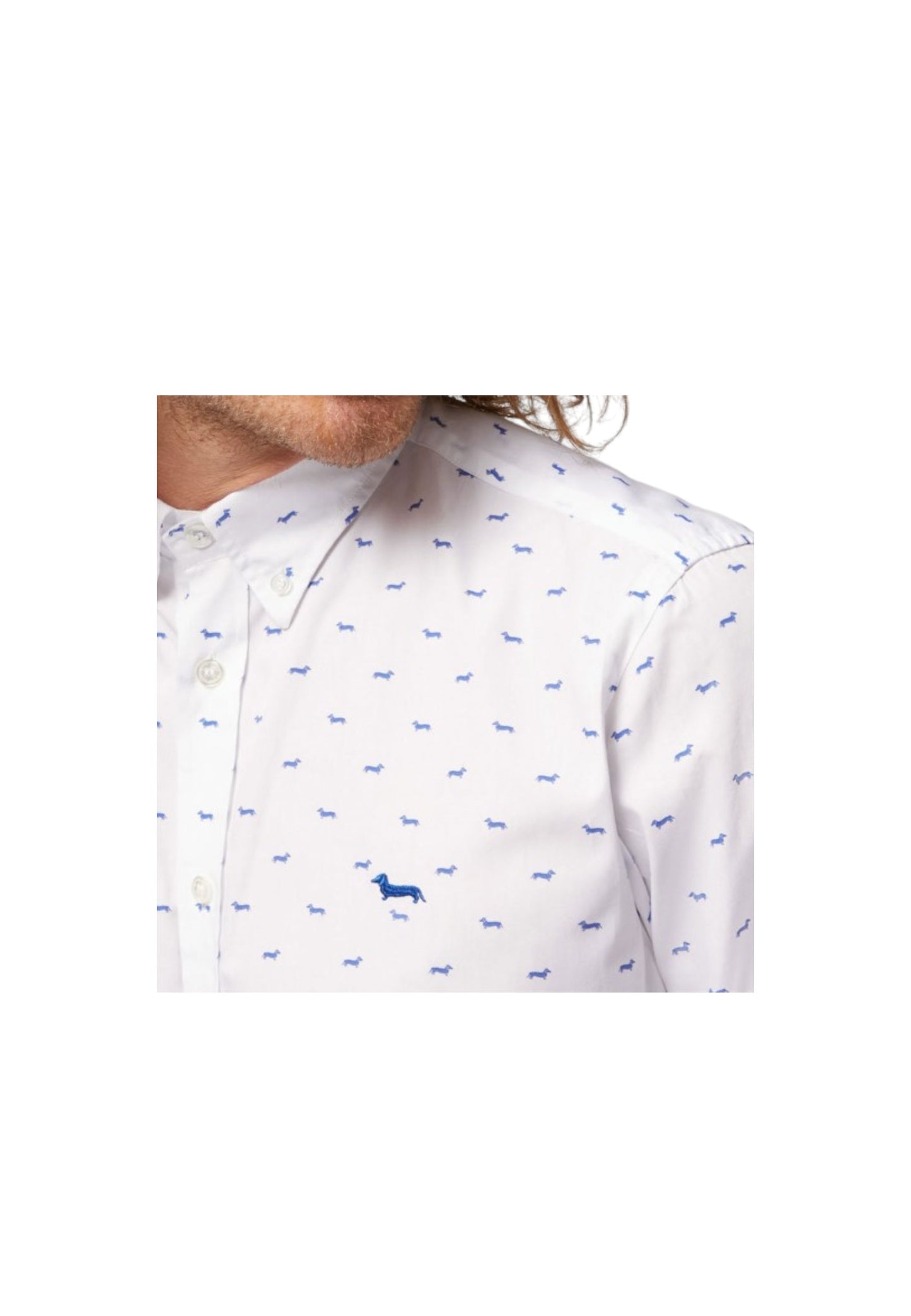 CRM001S08799M - Camicia - Harmont & Blaine