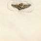 Pantaloncini Bermuda Uomo Aeronautica Militare Cargo  261BE0066UCT01122