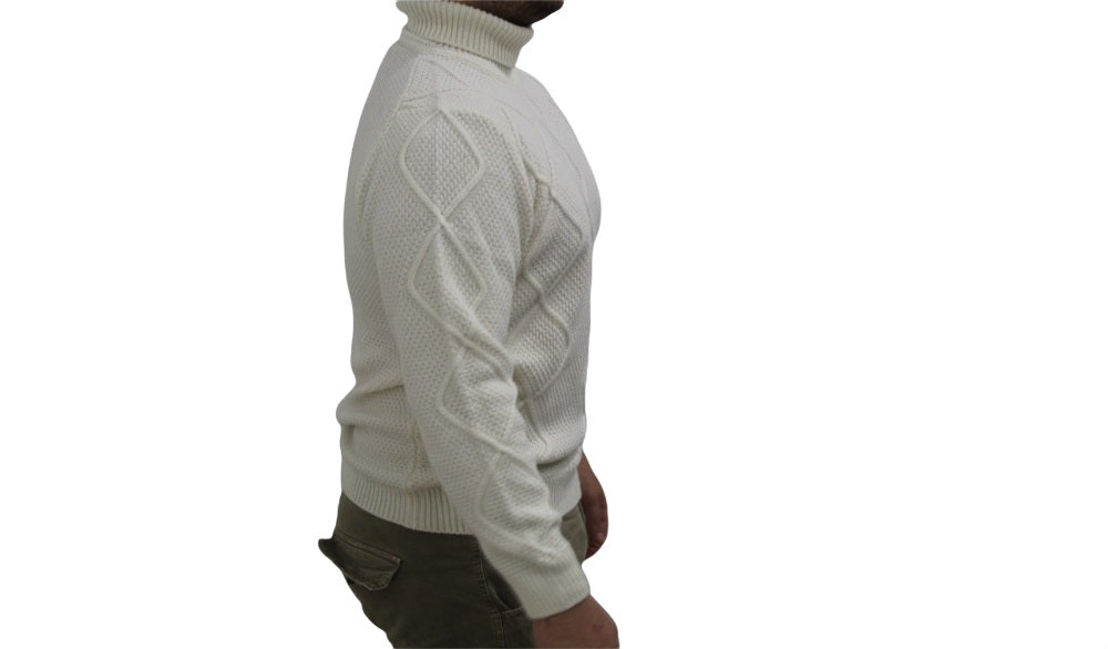 Maglione Collo Alto Uomo Cashmere Company   IU202207