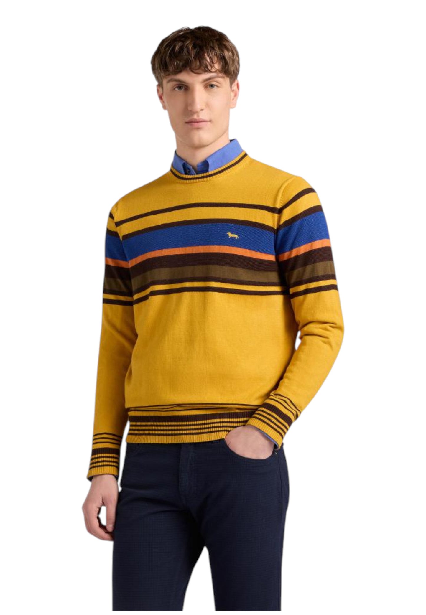 Maglione A Girocollo Uomo Harmont & Blaine Righe Piazzate 3D  HRP823030788