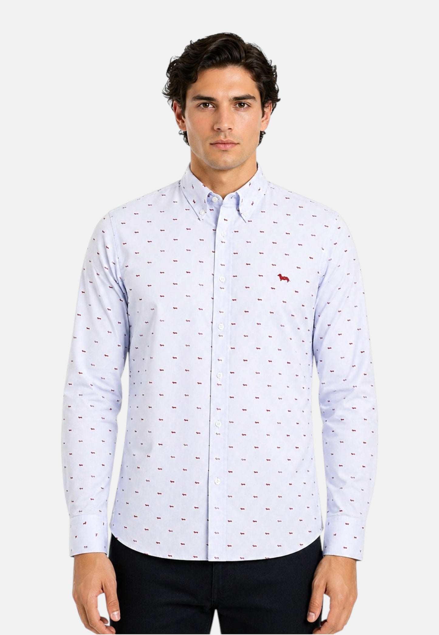 Camicia Manica lunga Uomo Harmont & Blaine Micro Bassotti All Over  CRQ001S13792M